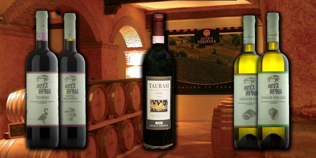 Antica Hirpinia a Galleria Navarra, wine tasting delle tre docg  Greco, Fiano, Taurasi