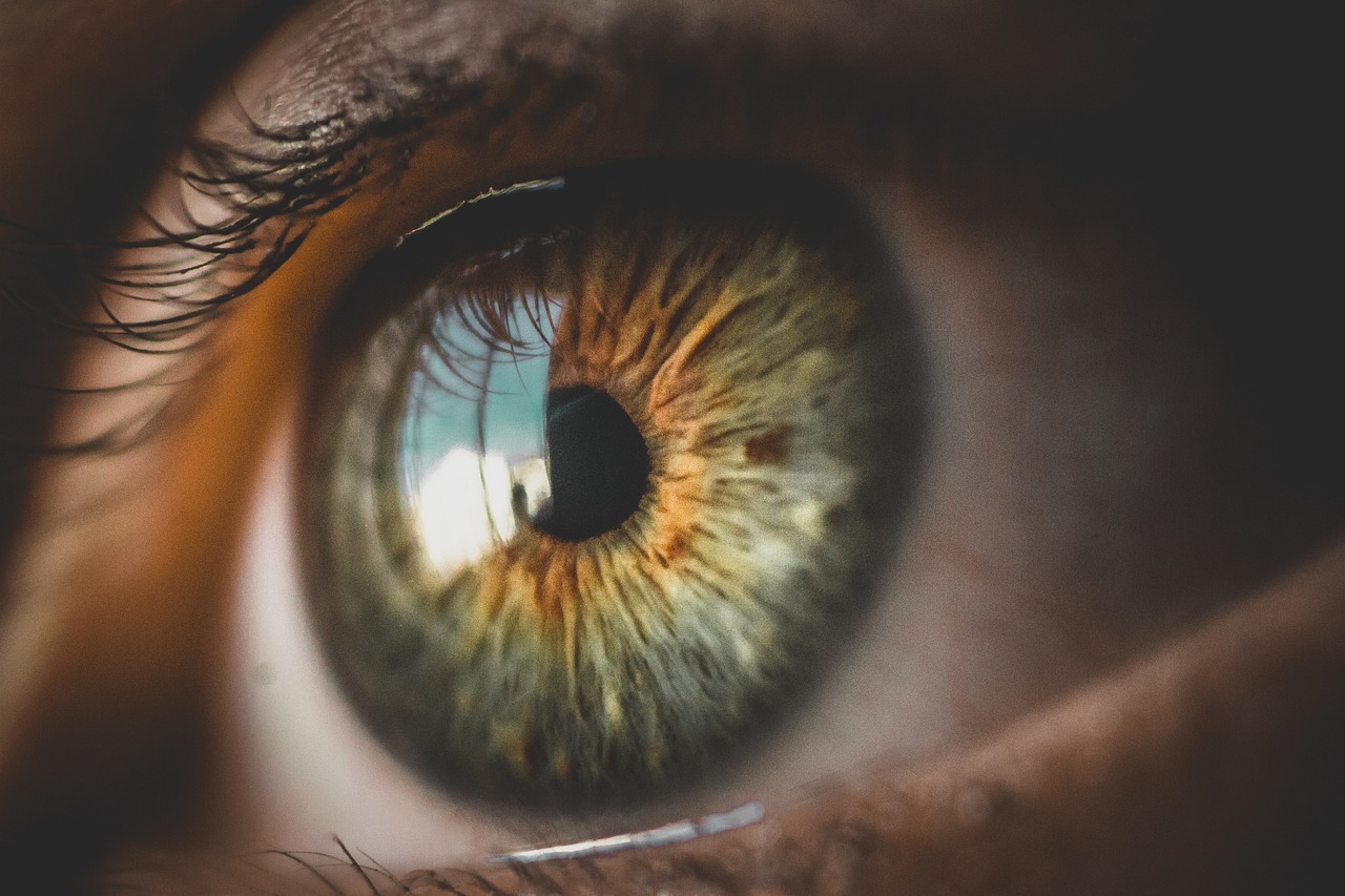 Science has created 3D tissue for the eye to treat age-related macular degeneration